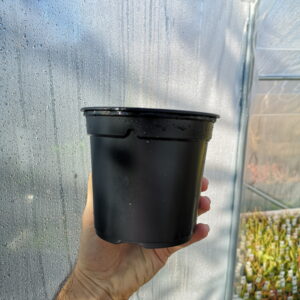 Il s'agit d'un pot souple de couleur noire.